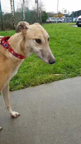 16357752 10210540191154584 1152451454 o