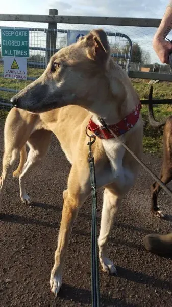 16357806 10210540189114533 2103365669 o