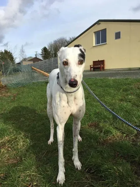 16357885 250630495392603 2004153201 o