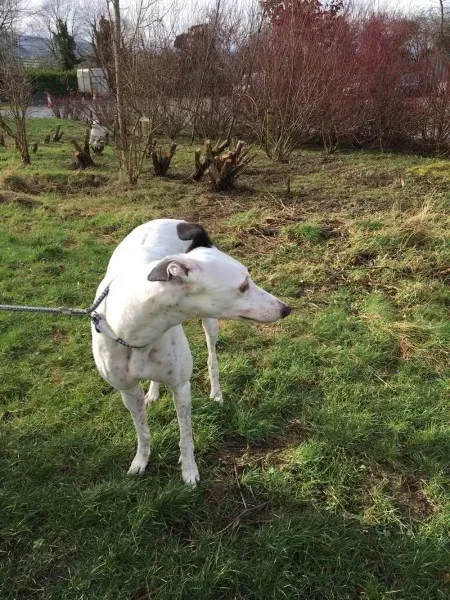 16358015 250630575392595 2143778067 o