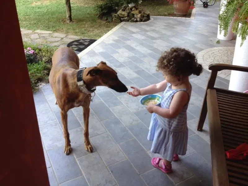 16375 847219122028611 3136485093016950396 n