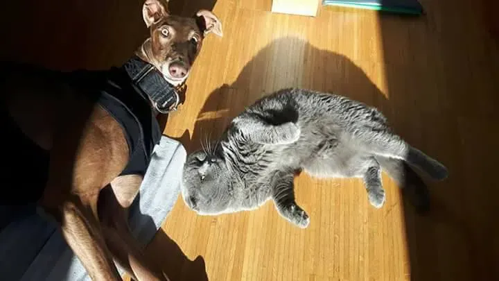 16387880 1267962983287554 7031628021138810340 n