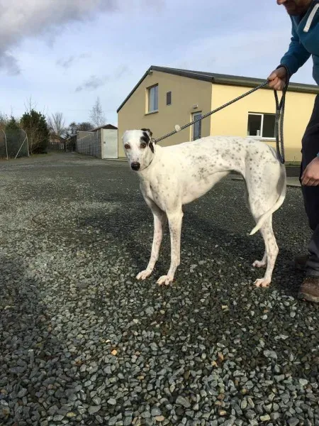 16388983 250630778725908 1562718327 o