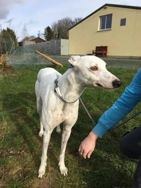 16389428 250630475392605 1842725982 o