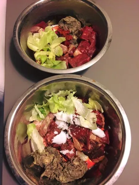 16406769 10209611003644588 5367164747903102378 n