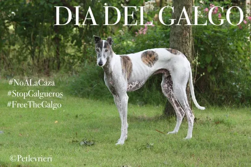 16406830 1261611510589368 5706358898155939570 n