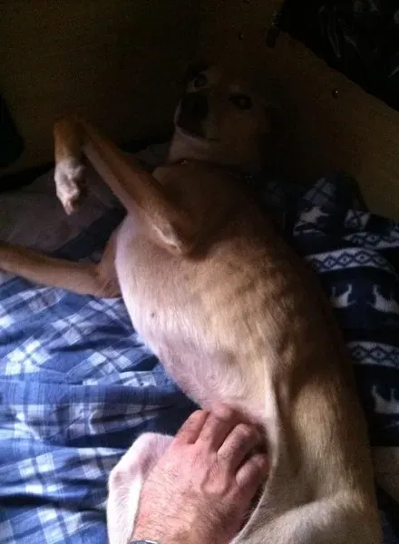 16416 10202974046094110 780410778553897247 n