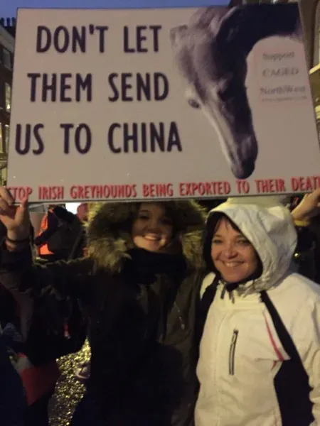 16422964 421908924816681 6643536443095517532 o