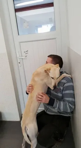 16426052 1546741238676903 153232130437480997 n