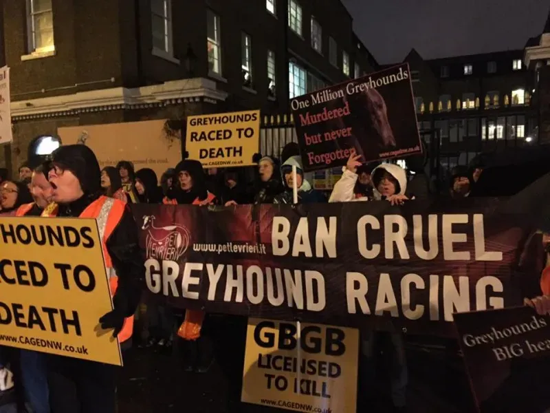 16427216 1258676824216170 1695495401649117522 n