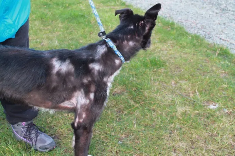 16463565 1547966071887753 5339448718685799304 o