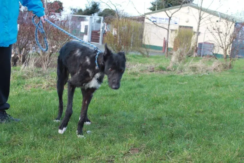 16463577 1547966375221056 2271394802316785436 o