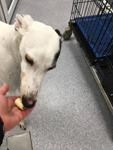 16466595 253288428460143 1969849204 o