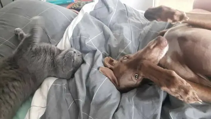 16473459 1267963019954217 1986087038174659154 n