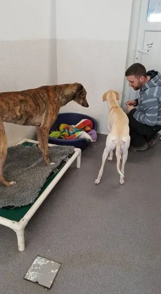 16473527 1546741185343575 4137016118448699173 n