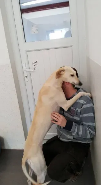 16473556 1546741182010242 1945640327346580948 n