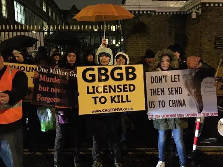 16473641 421910178149889 889795424536353686 n