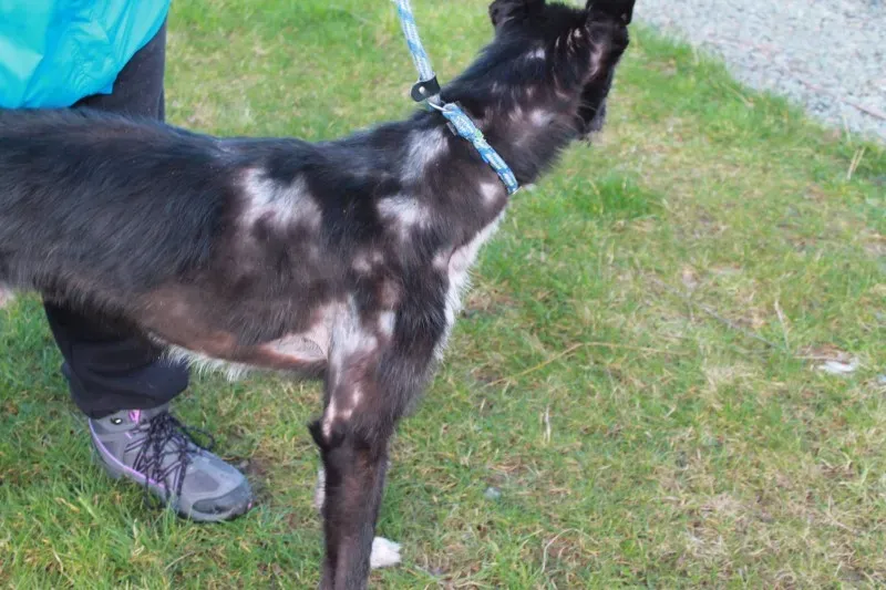 16486956 1547966068554420 2902551569889504385 o