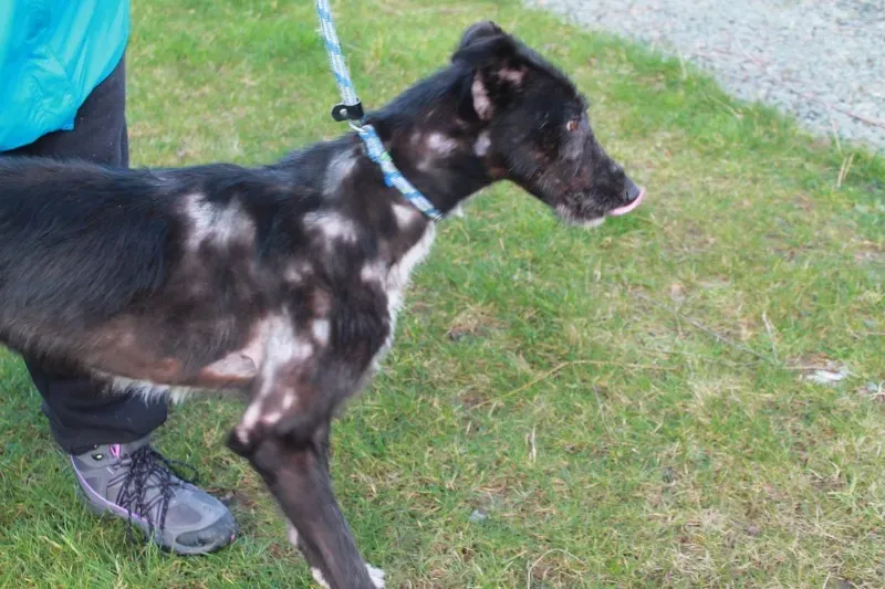 16487480 1547966718554355 9025353133174695046 o