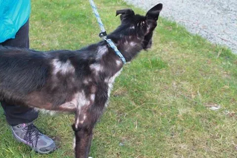 16507974 1547966071887753 5339448718685799304 n