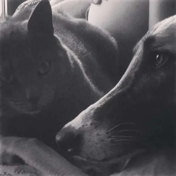 16507976 1268562573227595 4069698277947339598 n