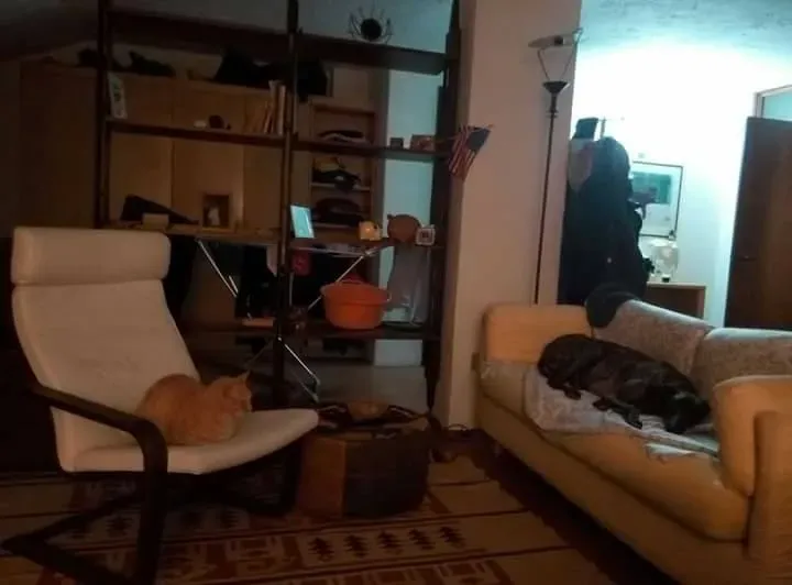 16508284 1268562929894226 1574718022939325475 n