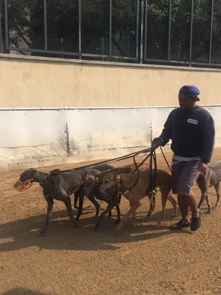 16508304 1041276909340338 7996788158238754340 n