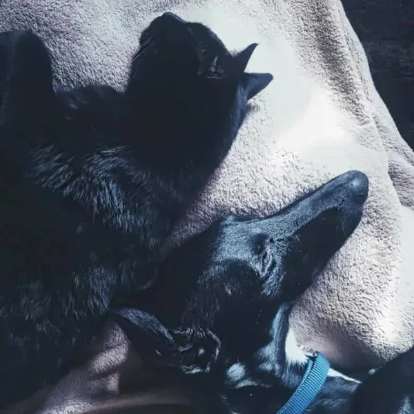 16508464 1267963016620884 2521549275012439752 n