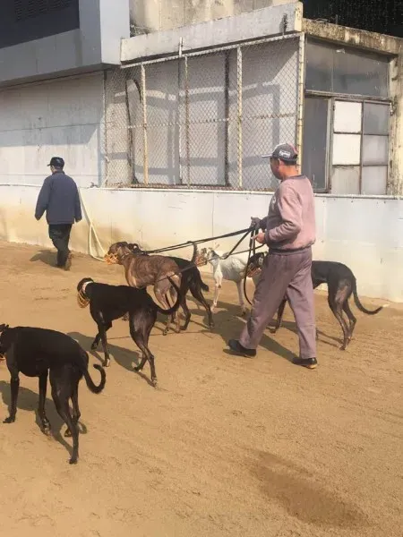 16508493 1041276846007011 5537285241527390352 n