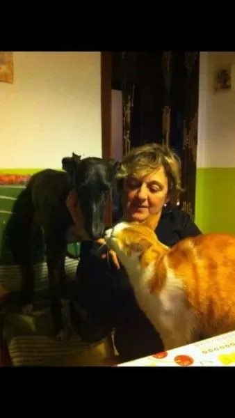 16508631 1268562769894242 835371235532933849 n