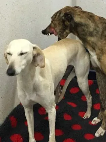 16522724 257012554754397 1094163767 n