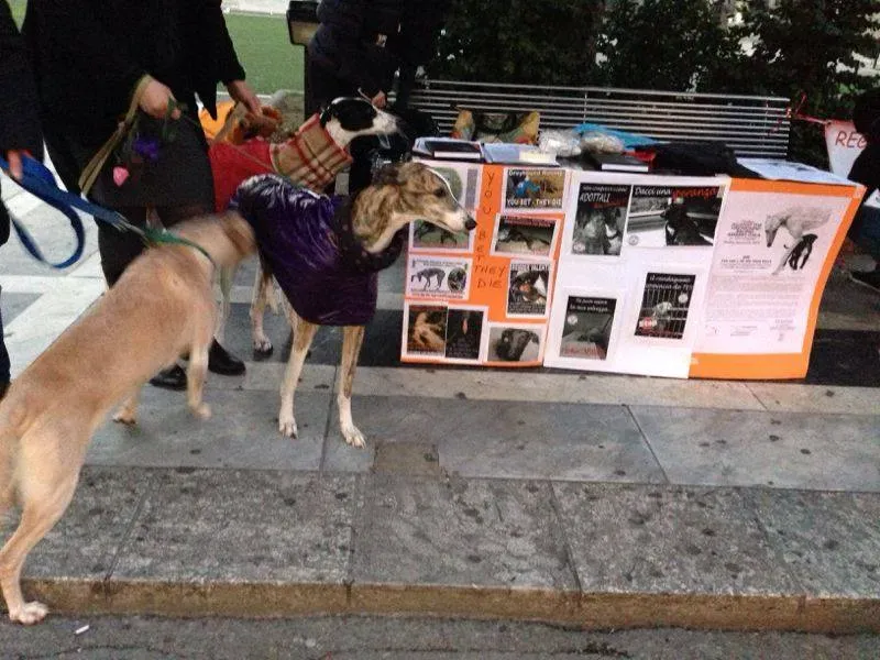 1653252 10202446075305613 1539701221 n