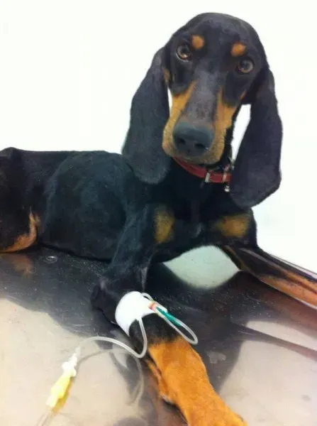 1653905 10202566479355639 582523888 n