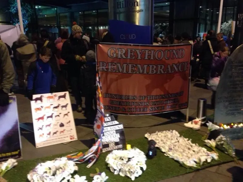 1653962 580599795364961 1430180025 n