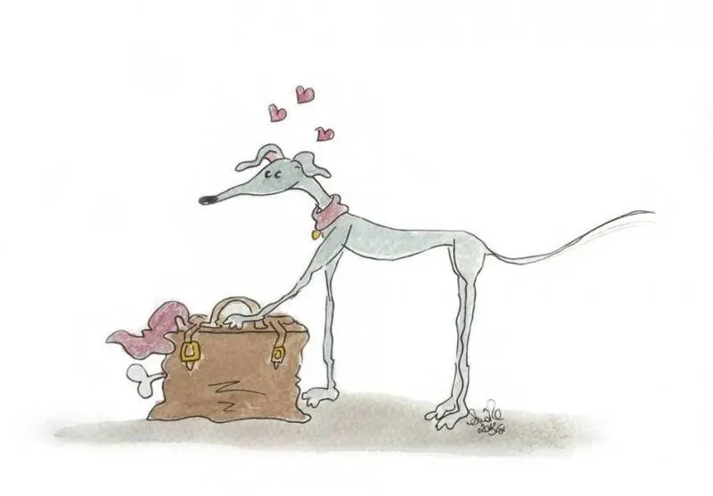 1654477 1526534050897011 2443446945173436618 n