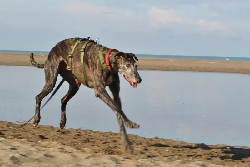 1654633 753952514670985 6388258794648527390 o