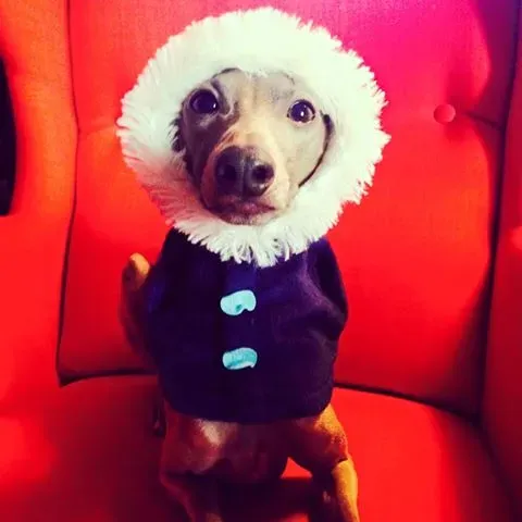 1656212 10153296780054856 8373840984277418315 n