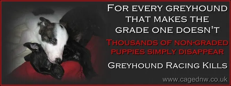 1658136 746292628812208 3125952200354637821 o