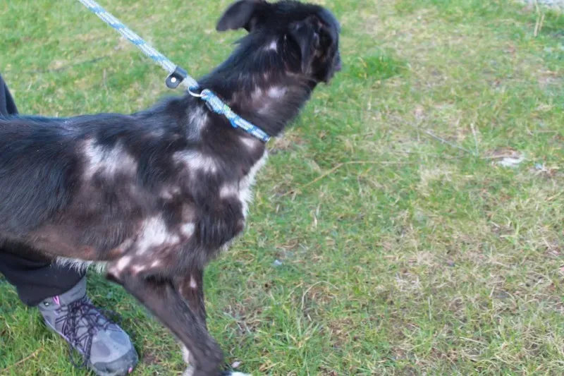 16586906 1547966215221072 6581531823034295058 o