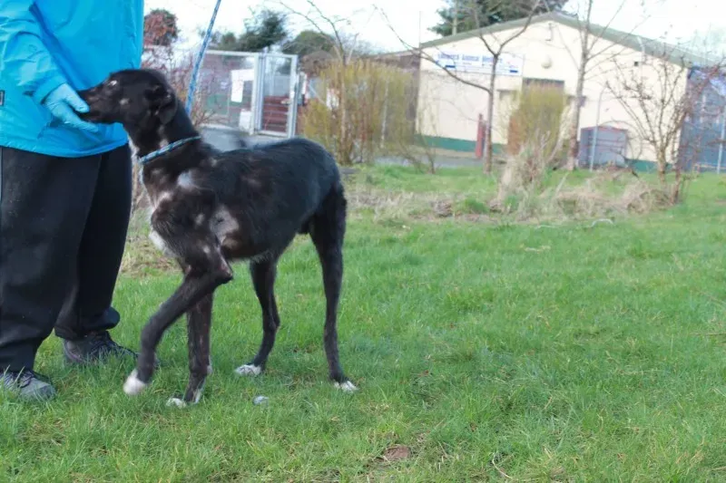 16586951 1547966591887701 1439126563024953567 o