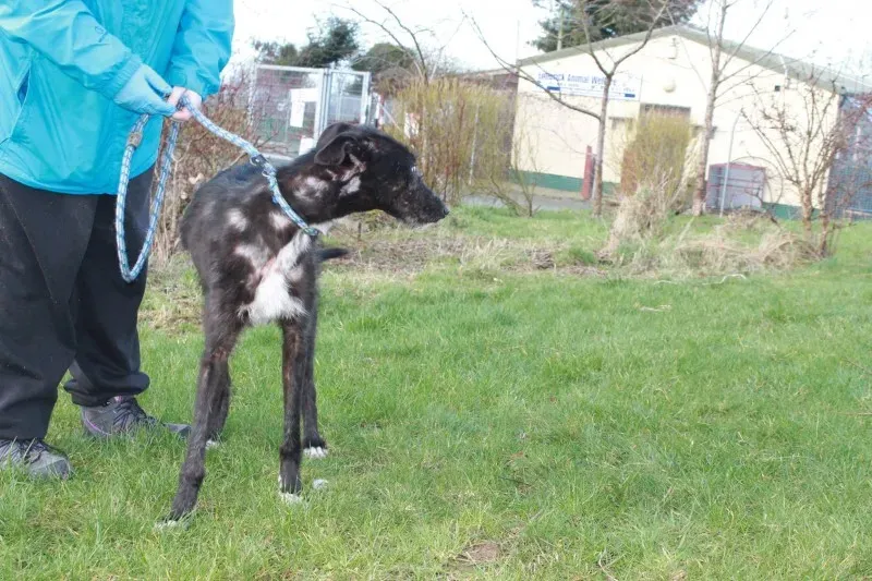 16586956 1547966551887705 6775987158193004774 o