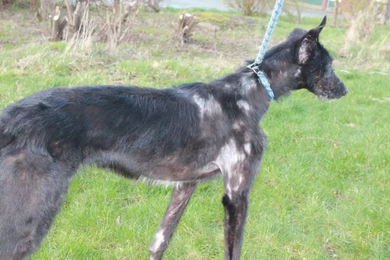 16587031 1547966258554401 2985582095570226345 o