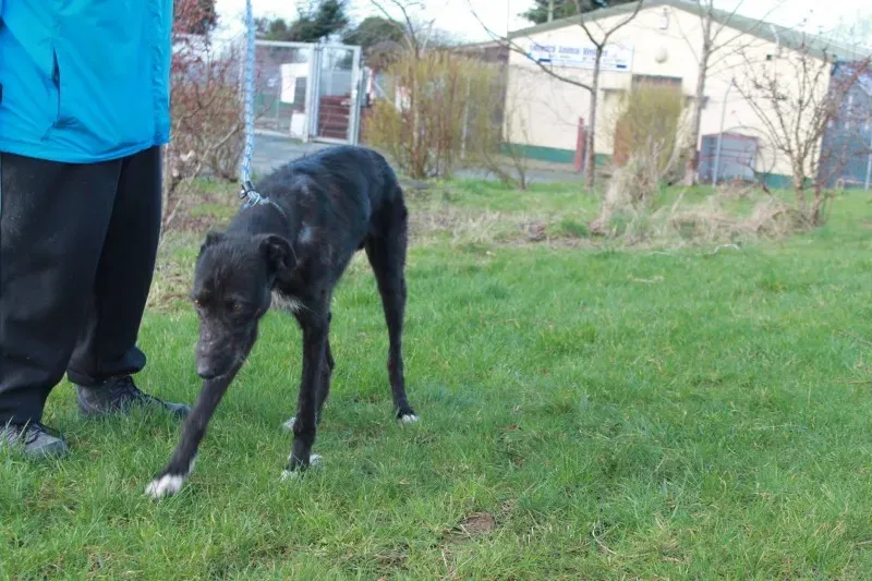 16601642 1547966511887709 1357001388877317973 o