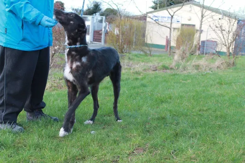 16602242 1547966698554357 2826178533205556232 o