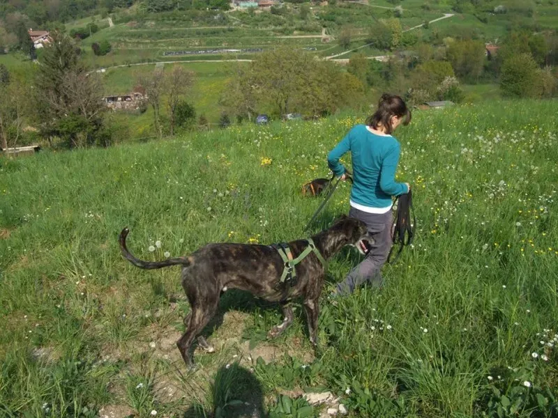 1660274 10202941228563049 7984642606839912090 n