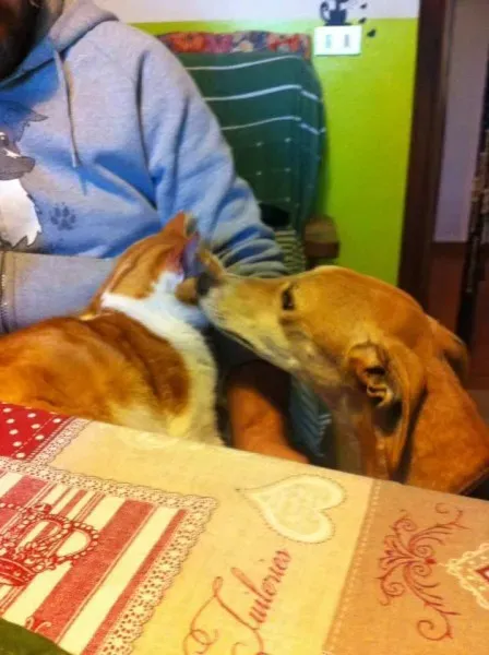 16602879 1268563109894208 8477805392498539042 n