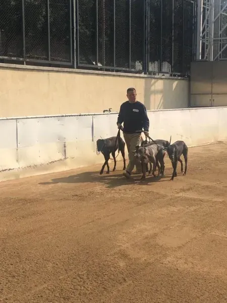 16602885 1041276366007059 5543499135827174294 n