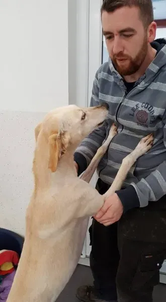 16602885 1546741175343576 1640047257274207561 n