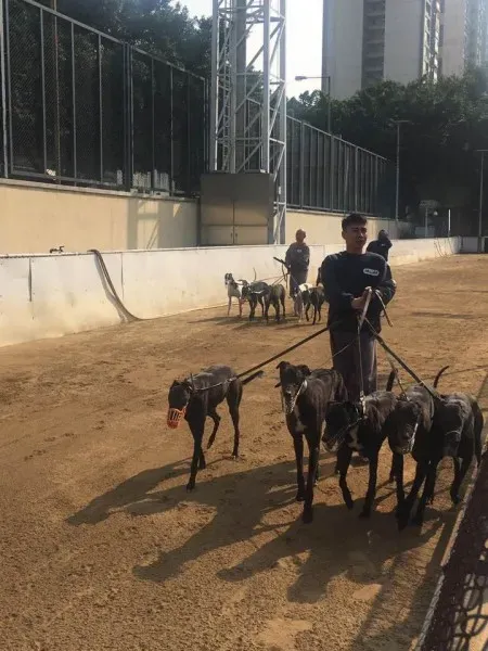 16602966 1041277309340298 8938347548308669161 n 1