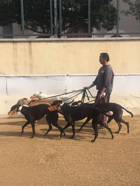 16602988 1041277162673646 7960694414554306442 n